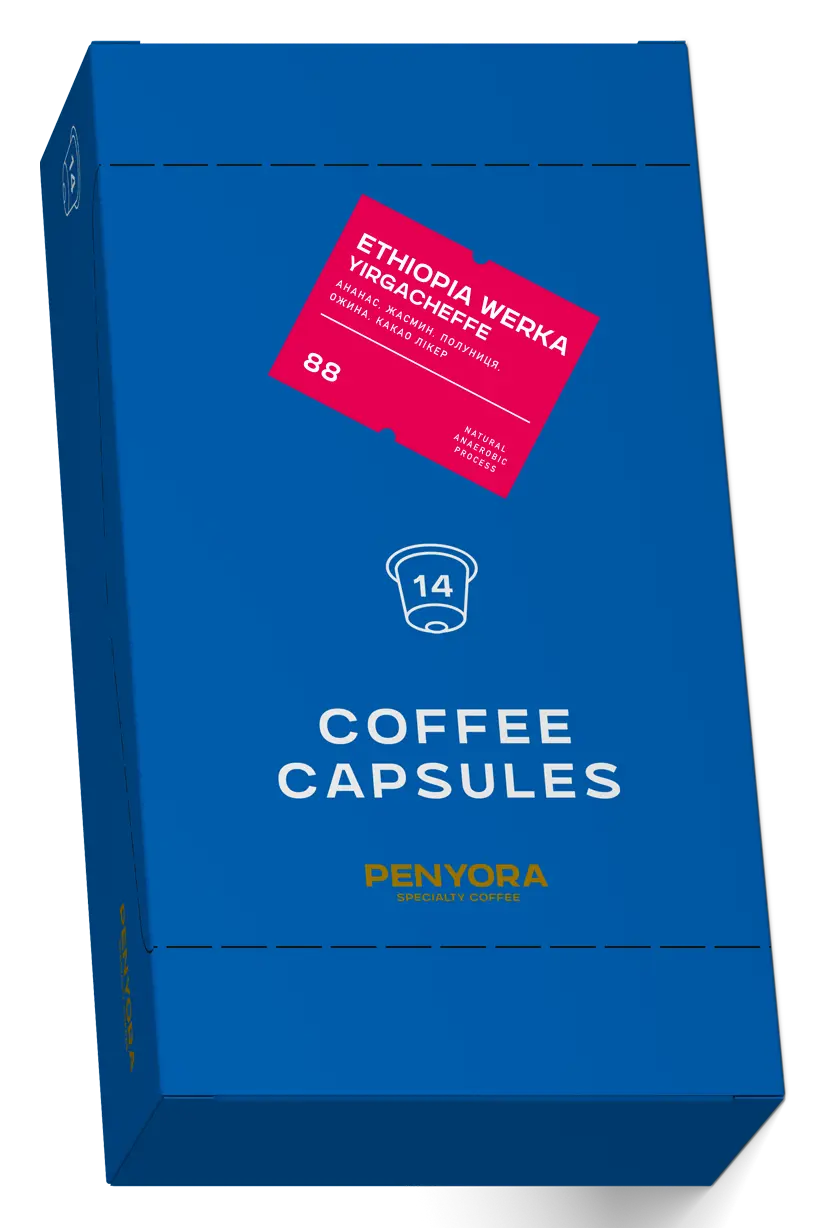 COFFEE CAPSULES ETHIOPIA WERKA YIRGACHEFFE
