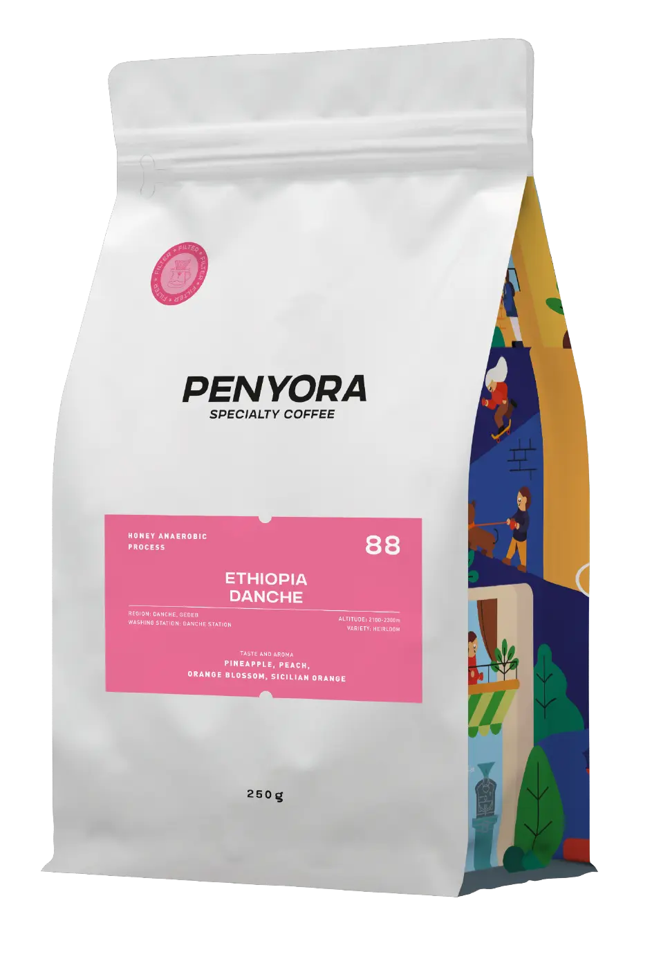 ETHIOPIA DANCHE FILTER