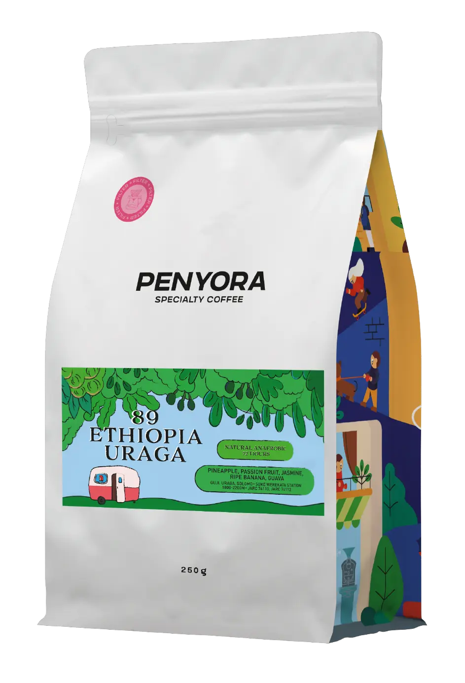 ETHIOPIA URAGA ANAEROBIC FILTER