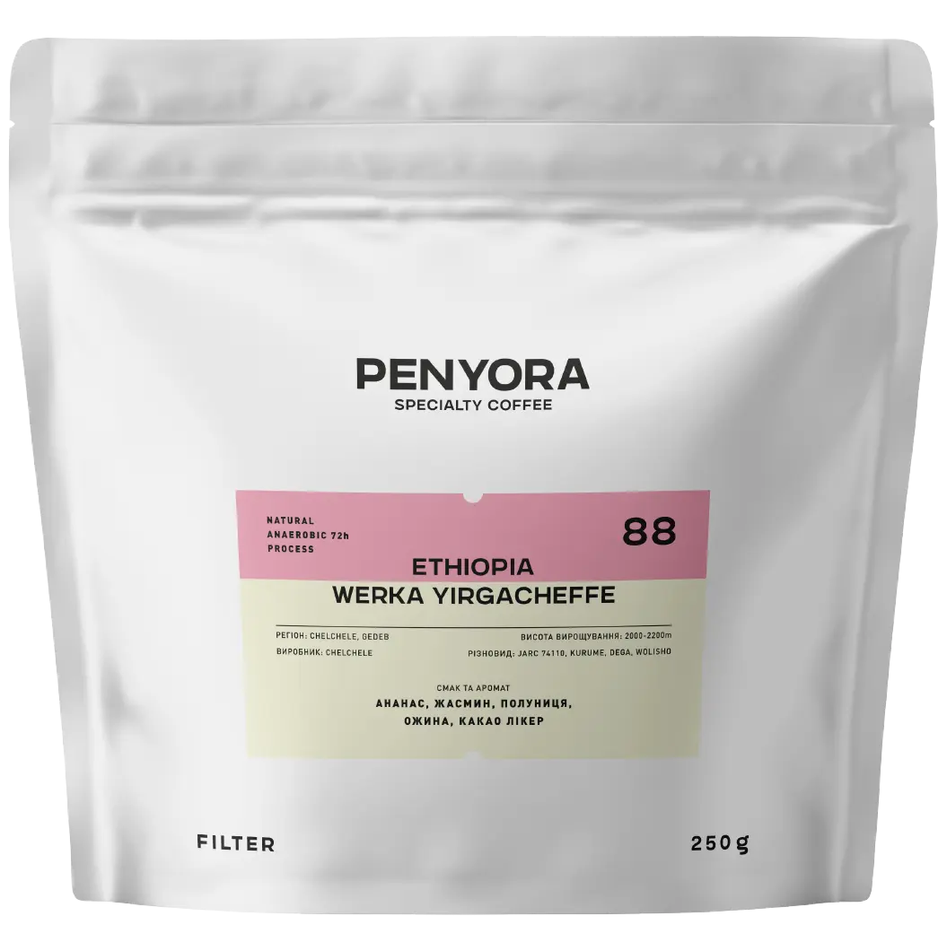 ETHIOPIA WERKA YIRGACHEFFE FILTER