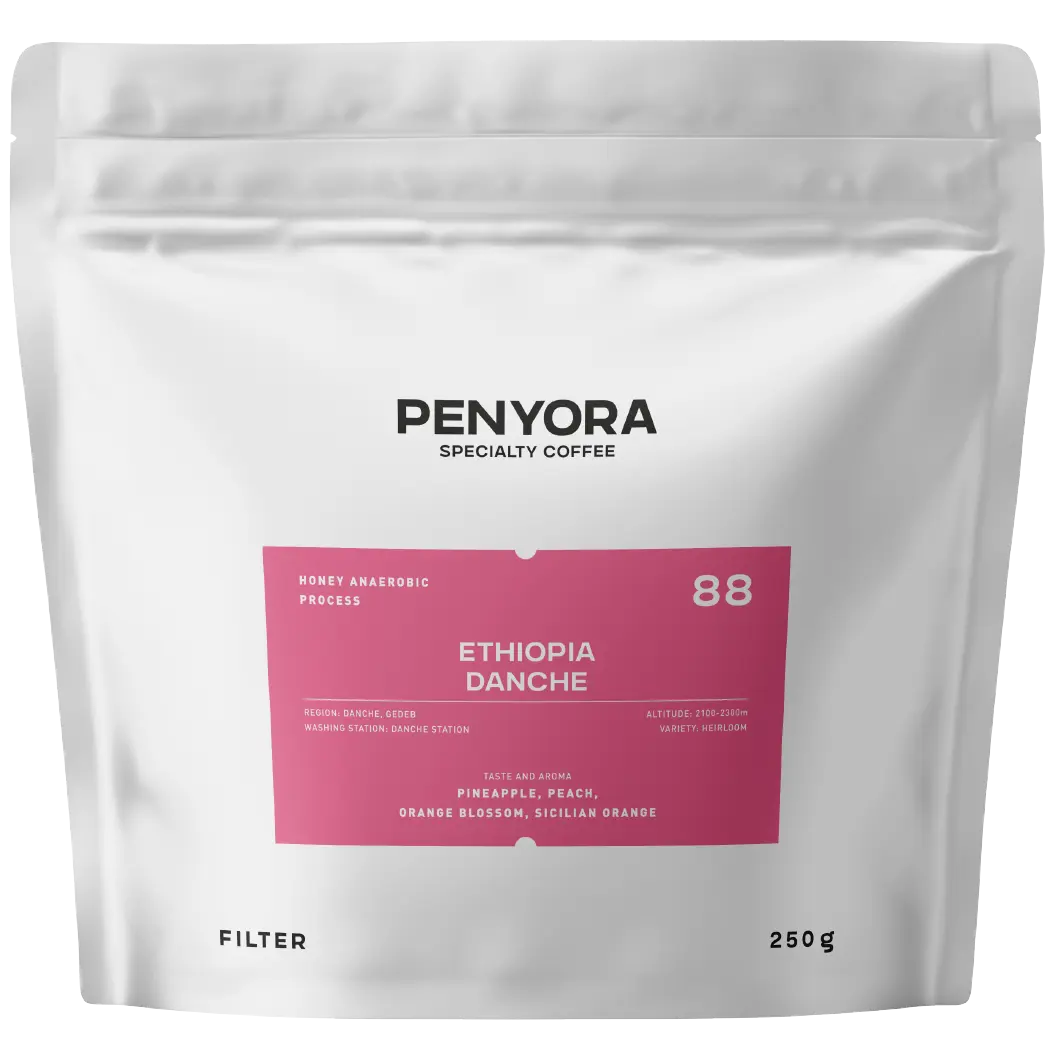 ETHIOPIA DANCHE FILTER